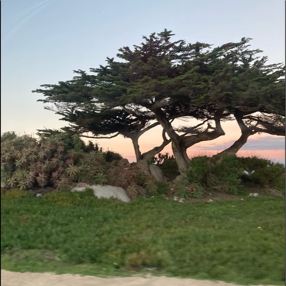 Meet your Posher, Joyce - Picture 1 of 2